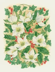Christmas Roses, 1997
